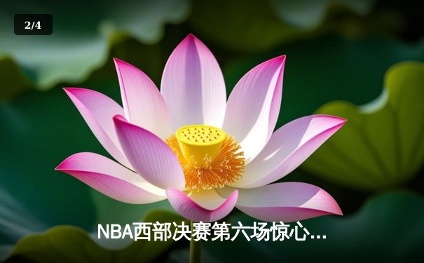 NBA西部决赛第六场惊心动魄 勇士逆转独行侠晋级总决赛 - 2